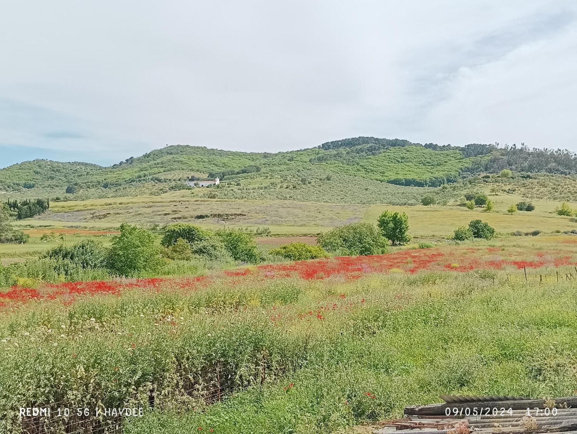 Casa El Azahin Pensionat Cazalla de la Sierra Værelse billede